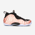 Nike Air Foamposite One - 314996 602