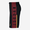 Air Jordan Rise Graphic Short