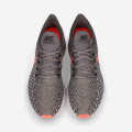 Nike Air Zoom Pegasus 35