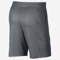 Nike HBR Short