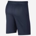 Nike HBR Short