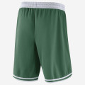 Boston Celtics Nike Icon Edition Swingman