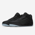 Air Jordan 3 Retro Flyknit