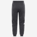 The North Face Fine 2 Pant