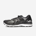 Asics Gel Nimbus 19