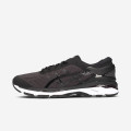 Asics Gel Kayano 24