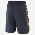 Indiana Pacers Icon Edition Swingman