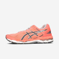 Asics Gel Kayano 22
