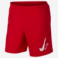 Nike Training Shorts - AJ7755 657