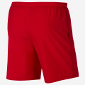 Nike Training Shorts