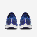 Nike Air Zoom Pegasus 35