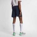 Nike Running Short
