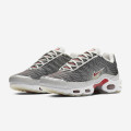 Nike Air Max Plus OG