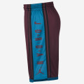 Jordan HBR Shorts