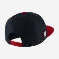 Jordan Pro Script Cap