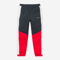Carhartt WIP Barnes Pant