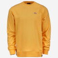 Dickies Seabrook Sweatshirt - 02 200203 CUS