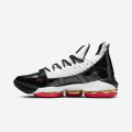 Nike LeBron XVI "Remix" SB