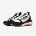 Nike LeBron XVI "Remix" SB
