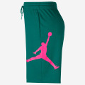 Jordan Jumpman Logo Shorts