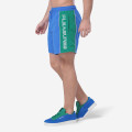 Pleasures x Reebok Classic Vector Woven Shorts