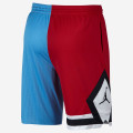 Jordan DNA Distorted Shorts