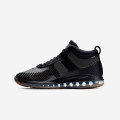 John Elliot x Nike LeBron Icon QS