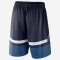 Minnesota Timberwolves Nike Icon Edition Swingman Shorts
