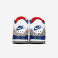 Air Jordan 3 Retro