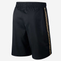 Giannis Antetokounmpo Basketball Track Shorts