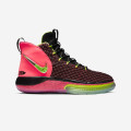 Nike Alphadunk Hoverboard