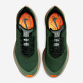 Nike Air Zoom Pegasus 36 Trail GTX W