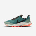 Nike Air Zoom Pegasus 36 Trail GTX W