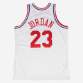 Mitchell & Ness NBA '91 All-Star Authentic Jersey - Michael Jordan