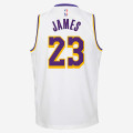 Kids - LeBron James Swingman Jersey Association Edition - Los Angeles Lakers