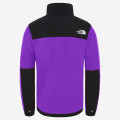 The North Face Denali Fleece Jacket 2