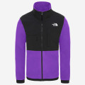 The North Face Denali Fleece Jacket 2 - NF0A3XAUN5N