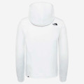 The North Face Standard Hoodie