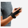Salomon Pulse Handheld