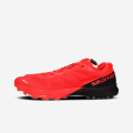 Salomon S/lab Sense 7 SG