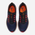 Nike Air Zoom Pegasus 36