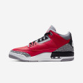 Air Jordan 3 SE 'Red Cement'