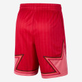 Jordan All-Star Edition Swingman Short