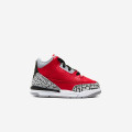 Air Jordan 3 Retro TD