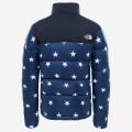 The North Face IC Nuptse Jacket