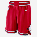Chicago Bulls Icon Edition Swingman