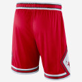 Chicago Bulls Icon Edition Swingman