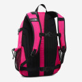 The North Face Hot Shot Special Edition Backpack