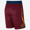 Cleveland Cavaliers Icon Edition Swingman
