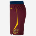 Cleveland Cavaliers Icon Edition Swingman